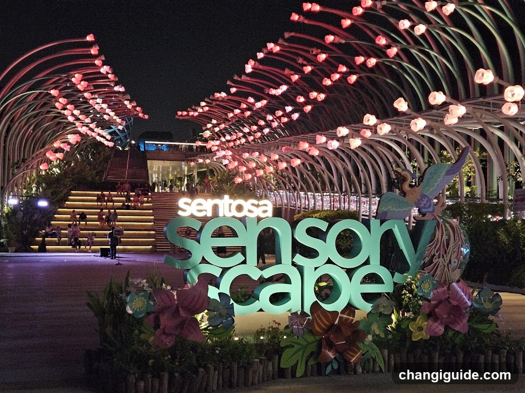 Sentosa Sensoryscape Night View