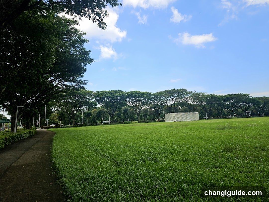 Grassy Field with Trees and Sky