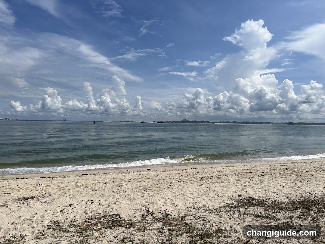 Beach Scene with Clouds and Ships