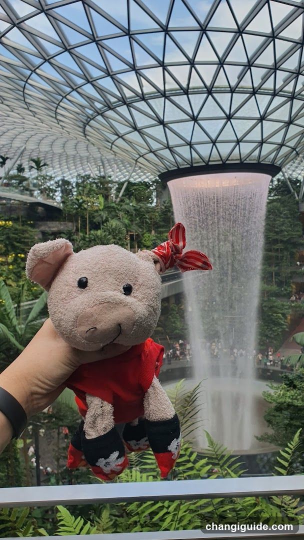 Plush Pig with Waterfall Background