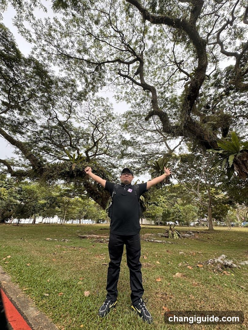 Man standing under a large tree with arms raised