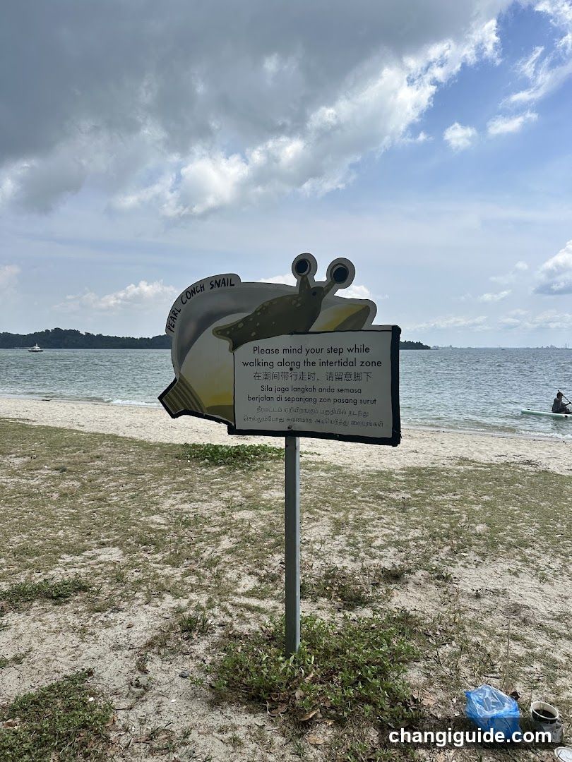 Beach Sign with Snail Illustration