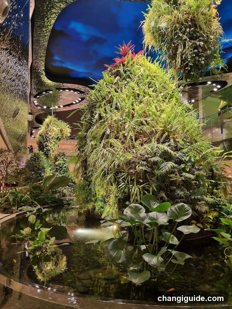 Indoor Tropical Garden Scene