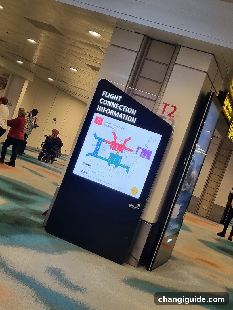 Flight Connection Information Display