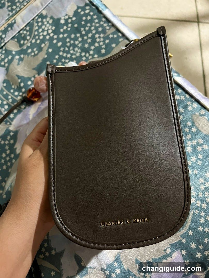 Charles & Keith Bag