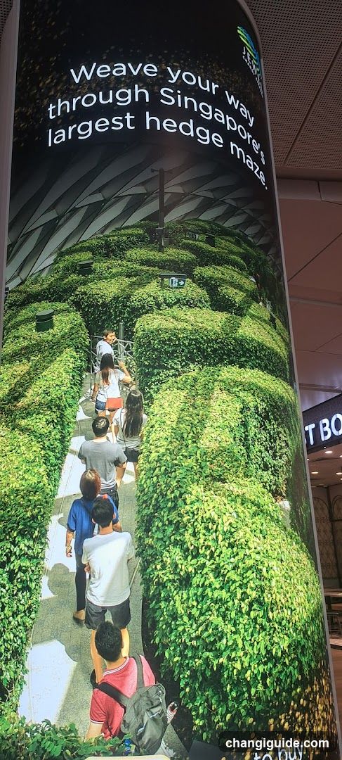 Singapore's Largest Hedge Maze Advertisement