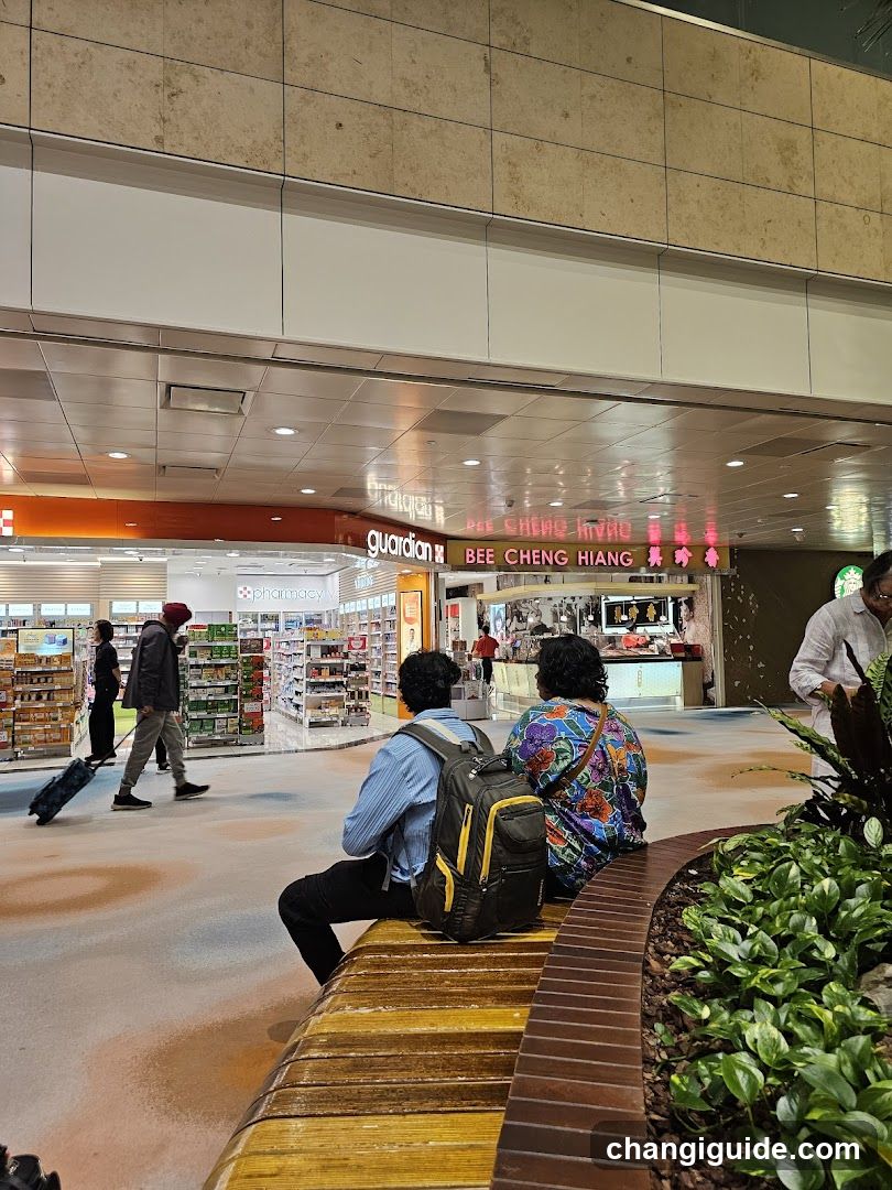Airport Terminal Interior with Shops and Passengers
