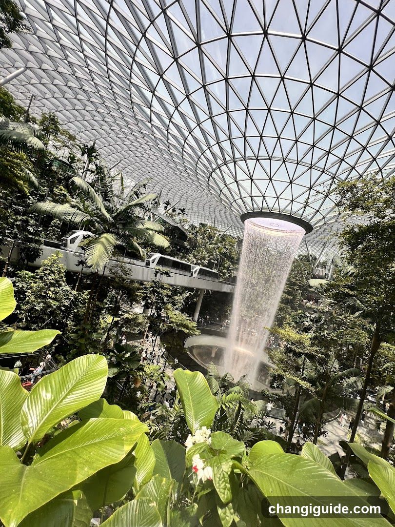 Indoor Waterfall Garden
