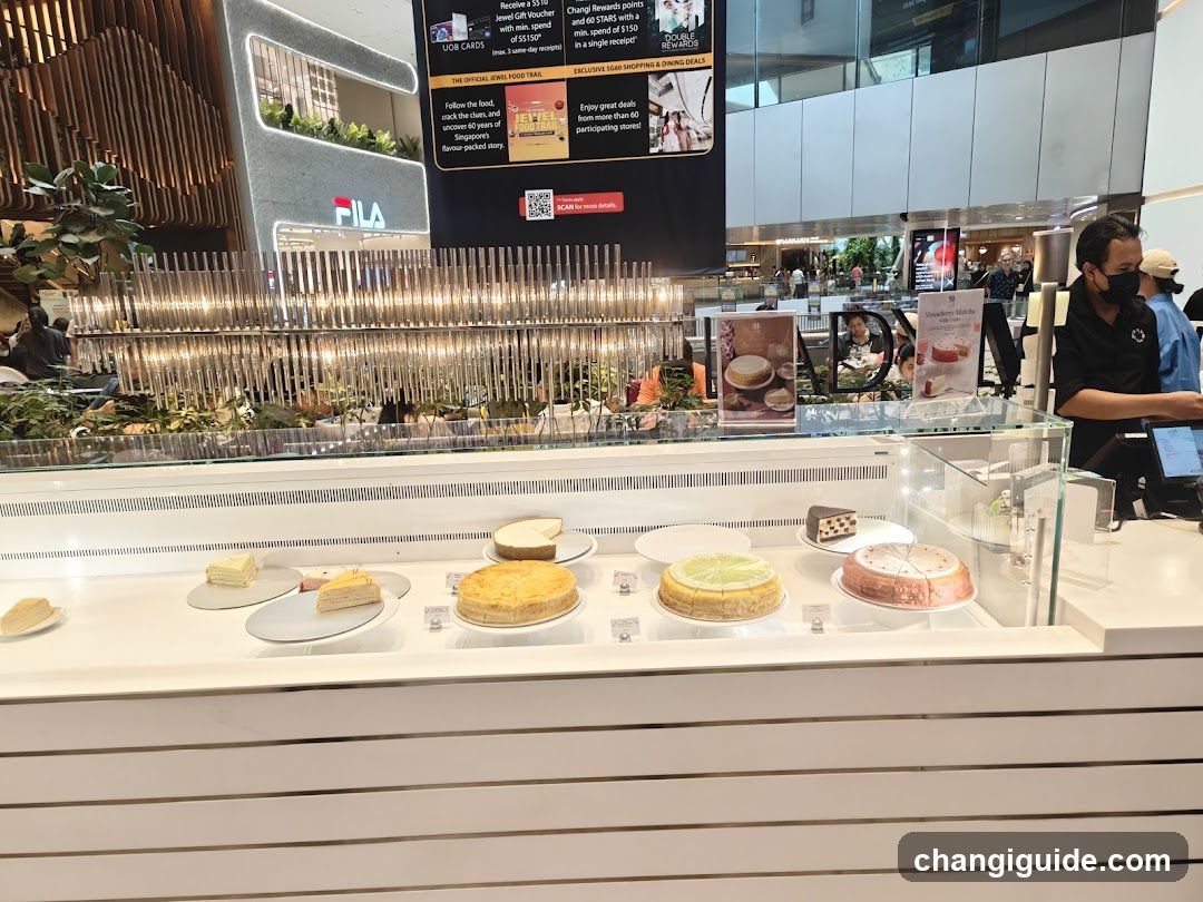 Cafe Display Counter