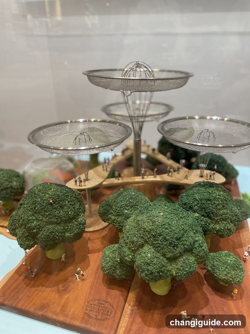 Broccoli Forest Display