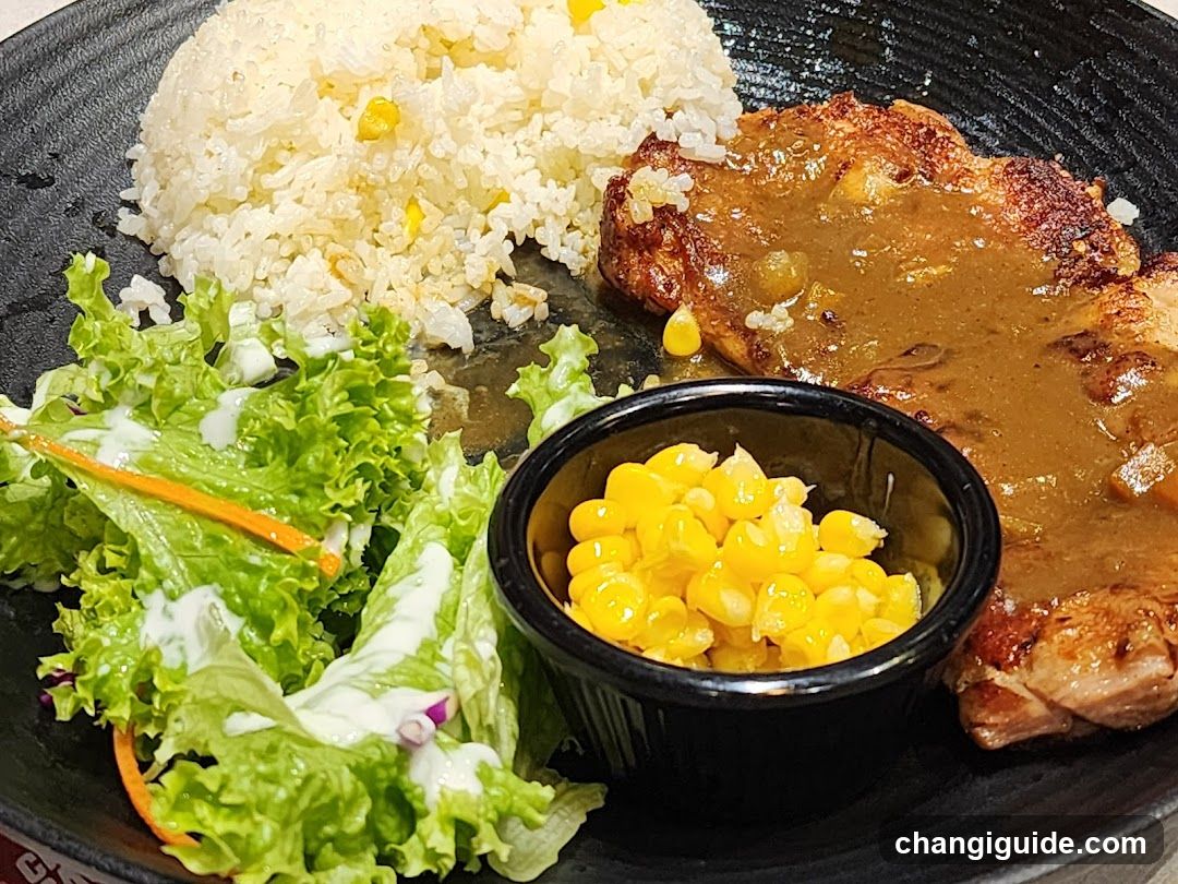 Pork Chop with Rice and Salad