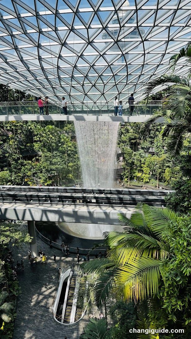 Indoor Waterfall and Greenery