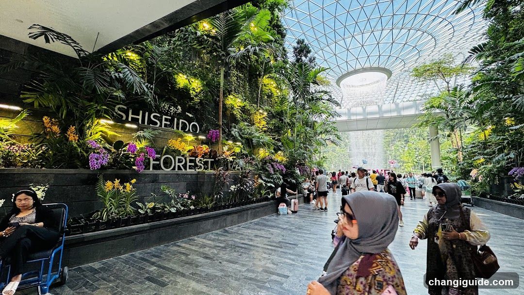 Shiseido Forest Interior View