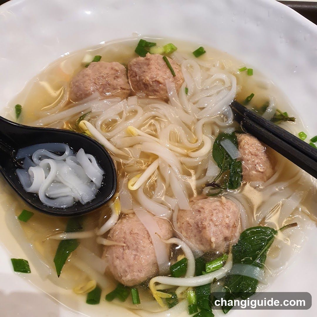 Noodle Soup with Meatballs