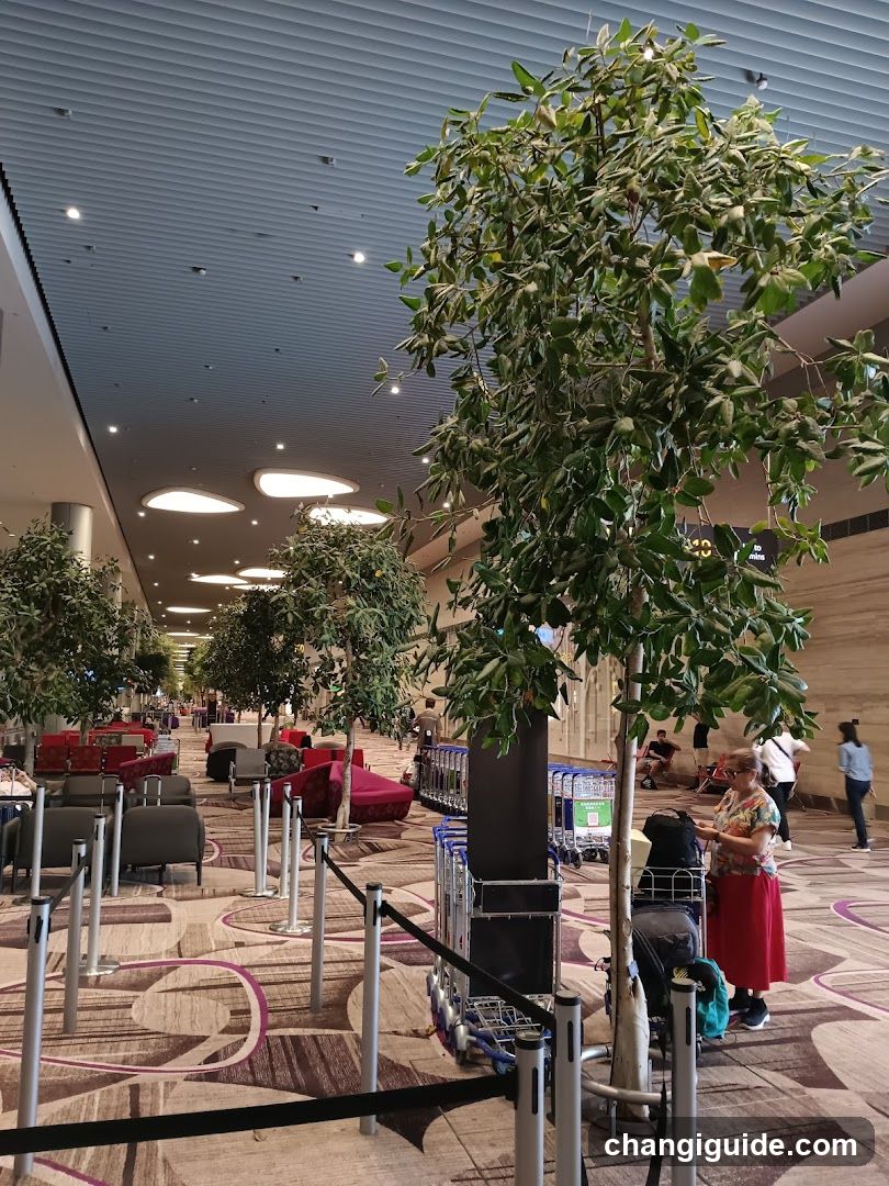 Airport Terminal Interior