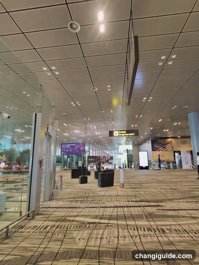 Airport Terminal Interior