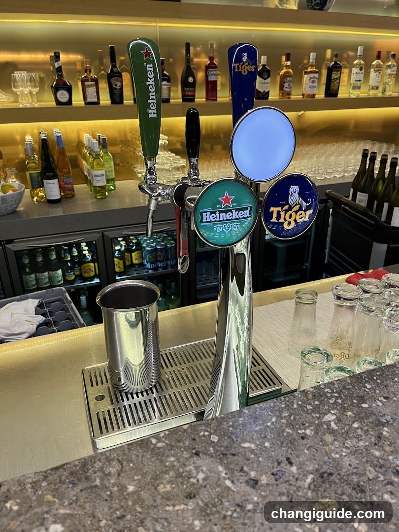Bar Interior with Beer Taps
