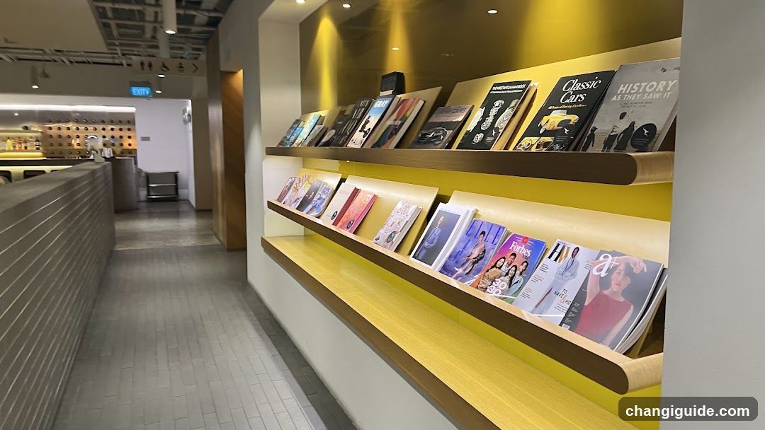 Magazine Display Shelf