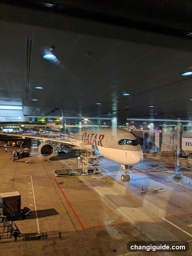 Qatar Airways Aircraft at Airport Terminal