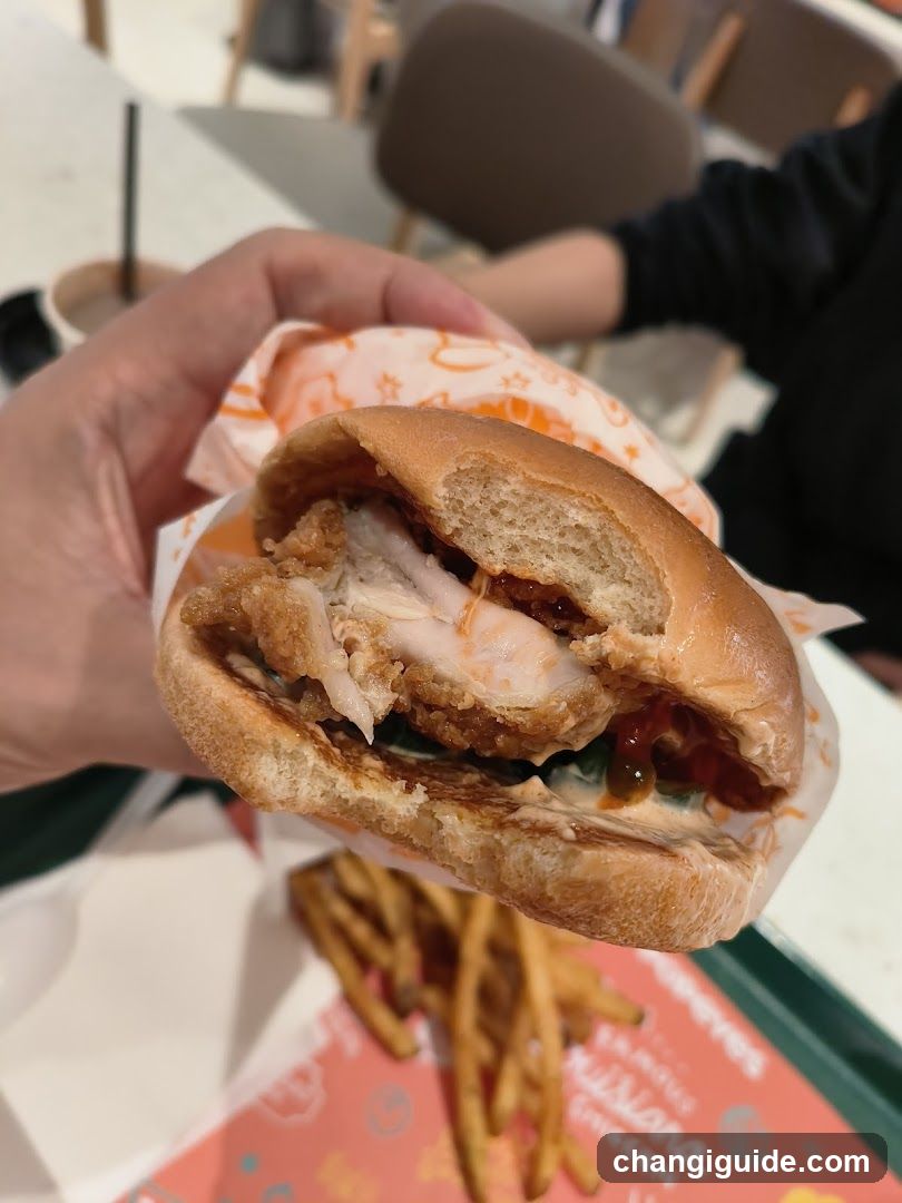 Chicken Burger with Fries