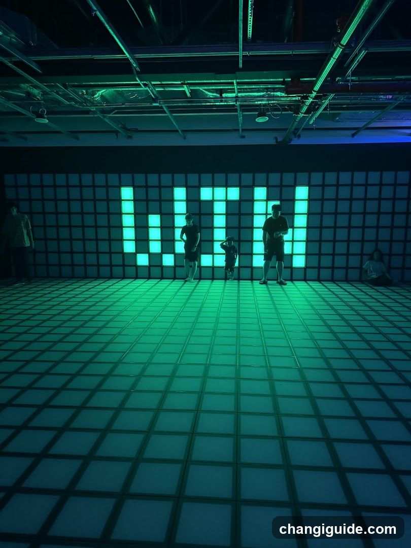 Interactive LED Grid Room