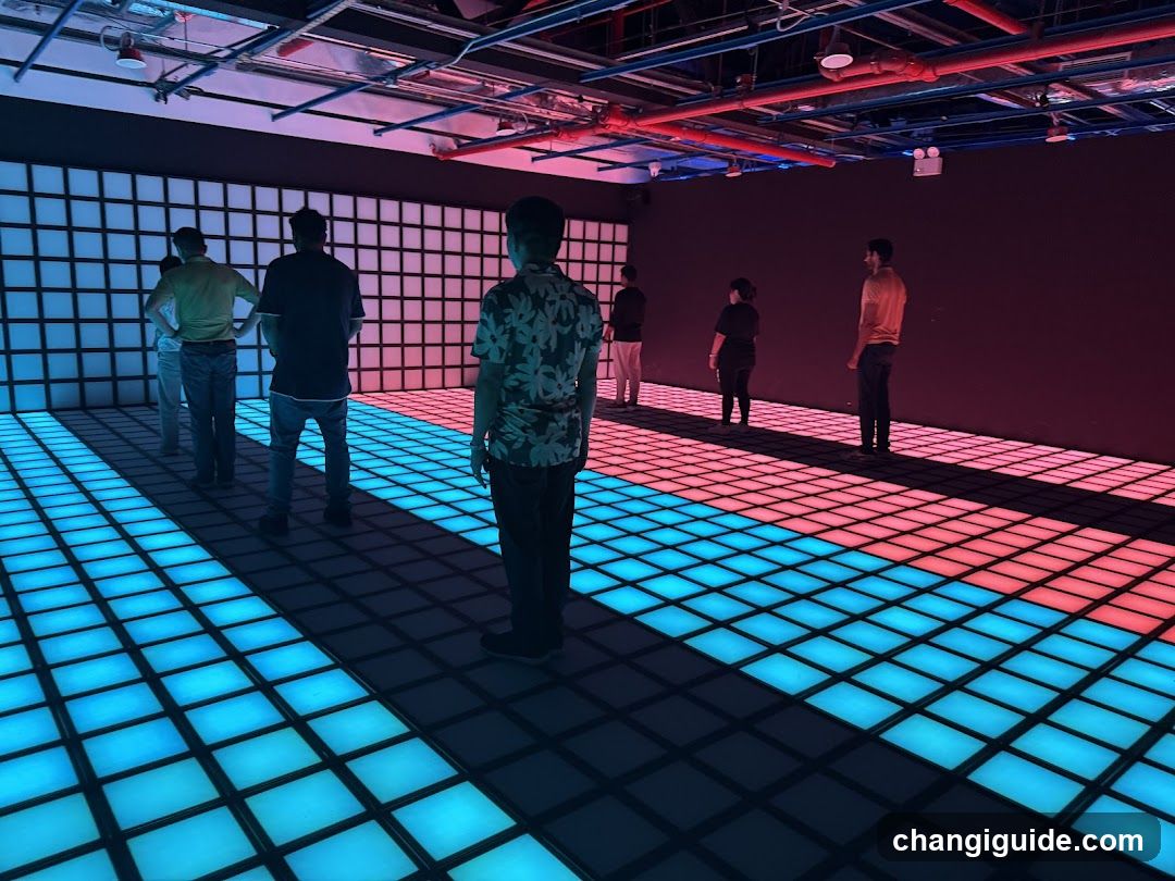 Interactive LED Floor Installation