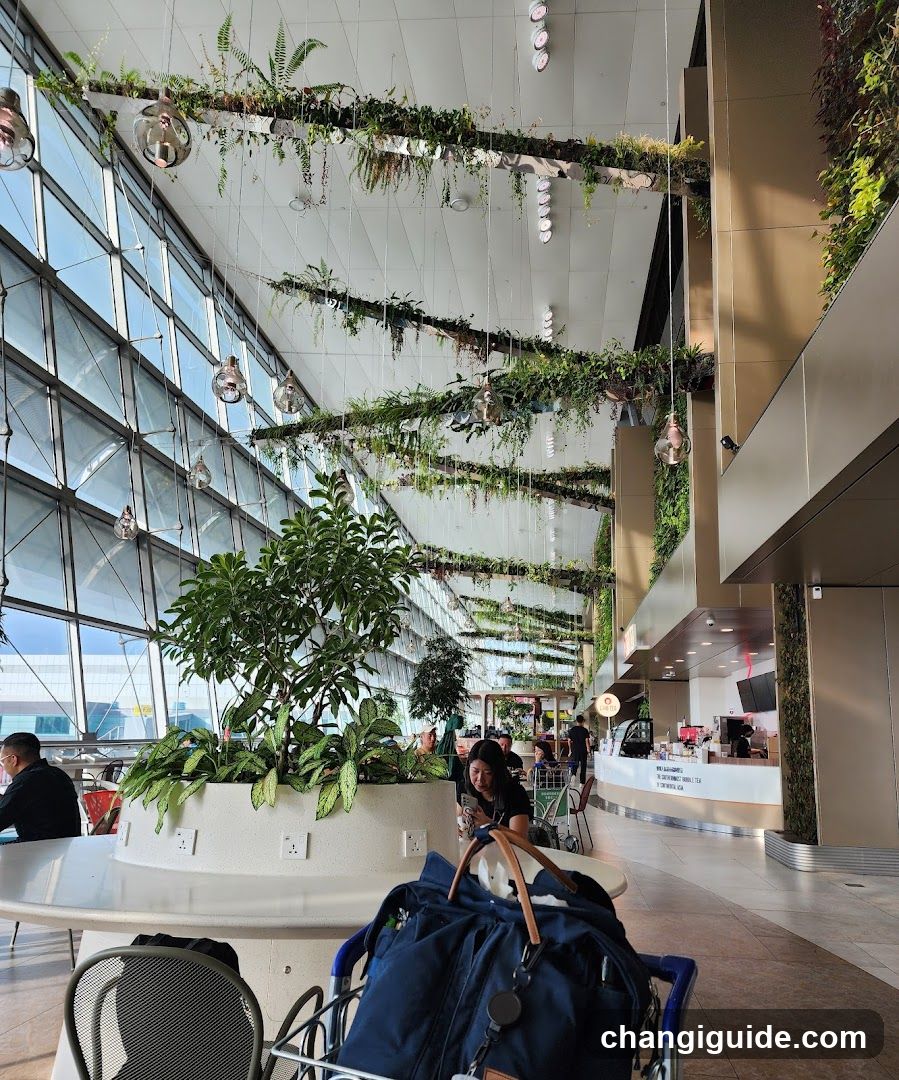 Airport Lounge Interior with Greenery