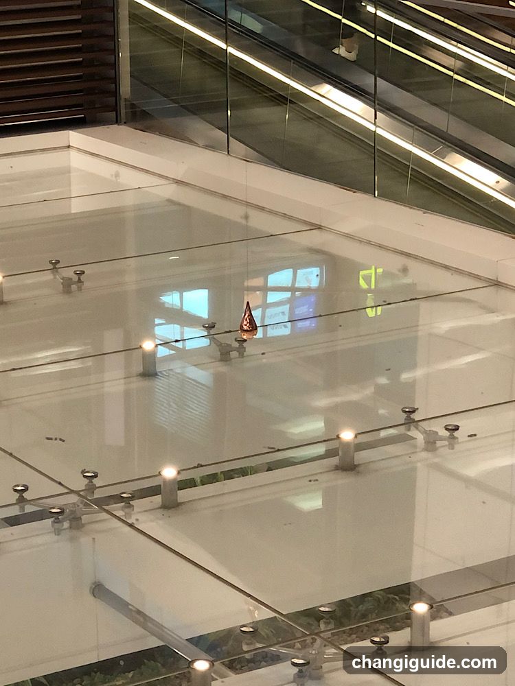 Glass Floor Interior View