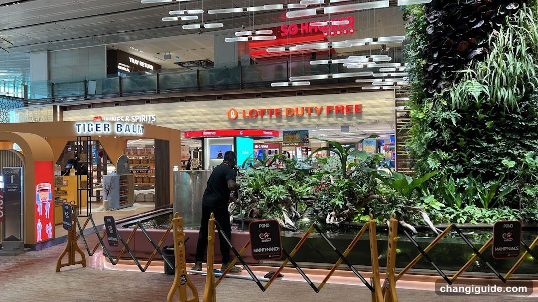 Airport Terminal Interior with Duty Free Store