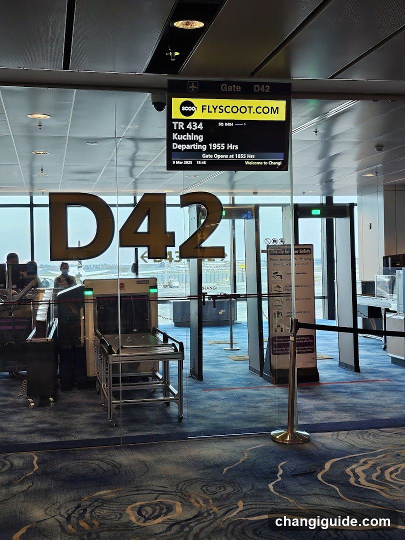 Airport Gate D42