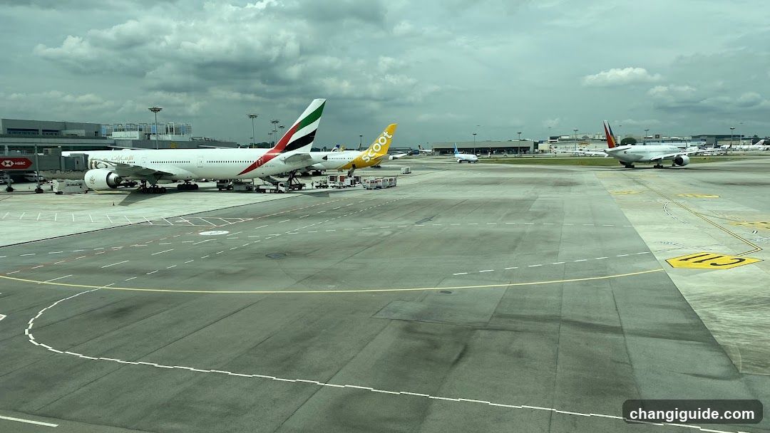 Airport Tarmac View