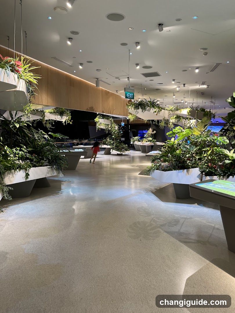 Changi Experience Studio