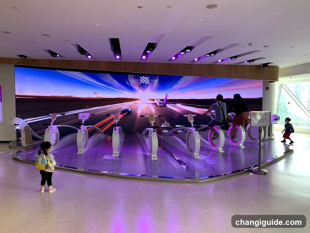 Interactive Fitness Experience at Museum or Exhibition Center