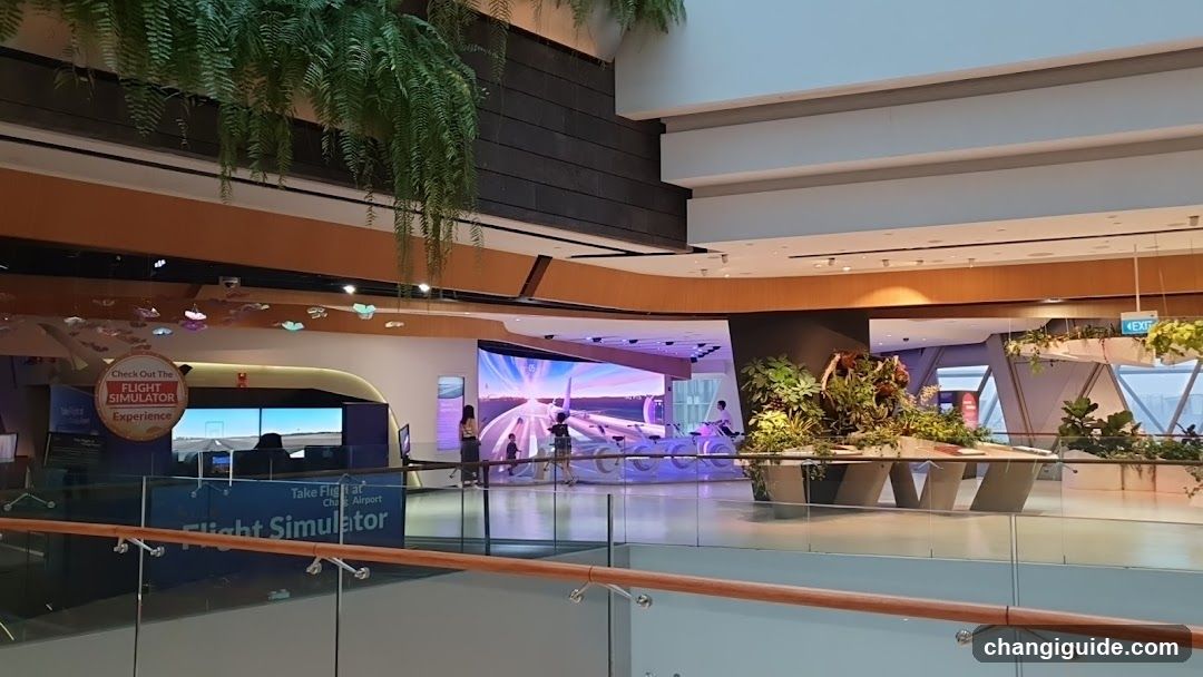 Flight Simulator Experience