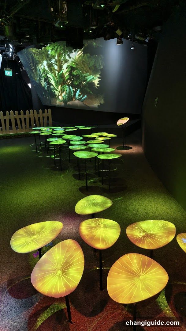 Interactive Exhibition Space with Lotus Theme