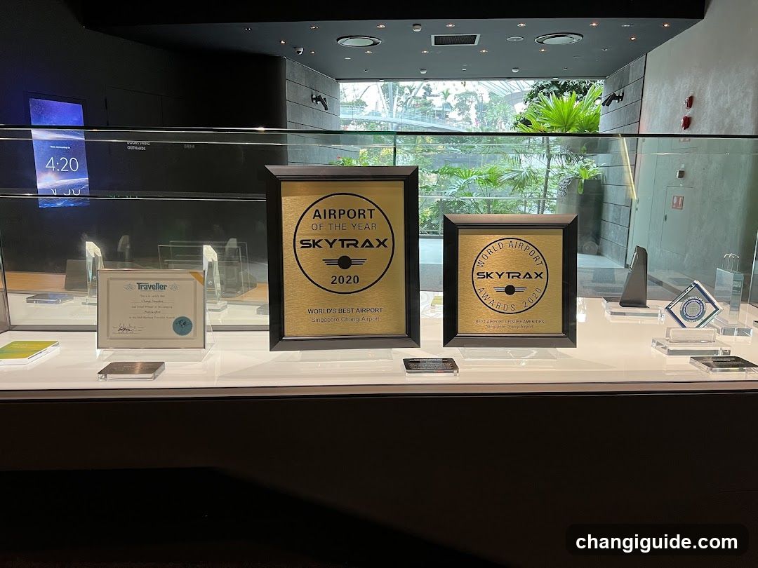 Airport Awards Display
