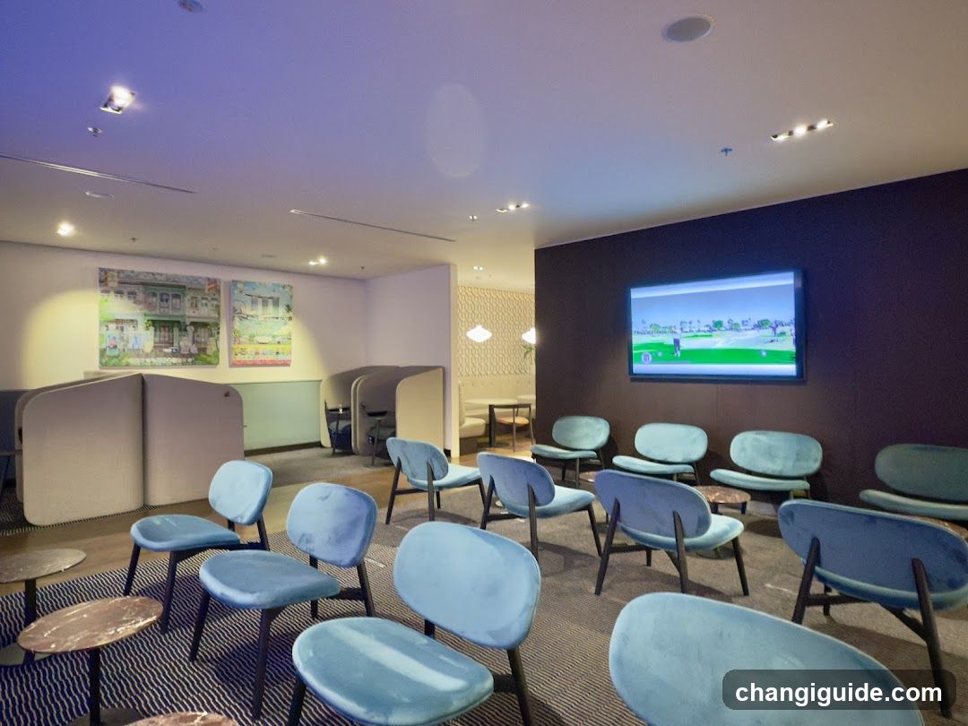 Blue Velvet Chairs in a Lounge Area