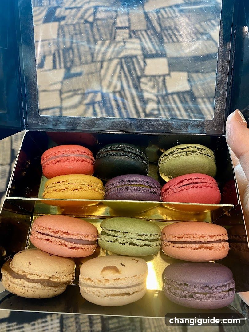 Macaron Box
