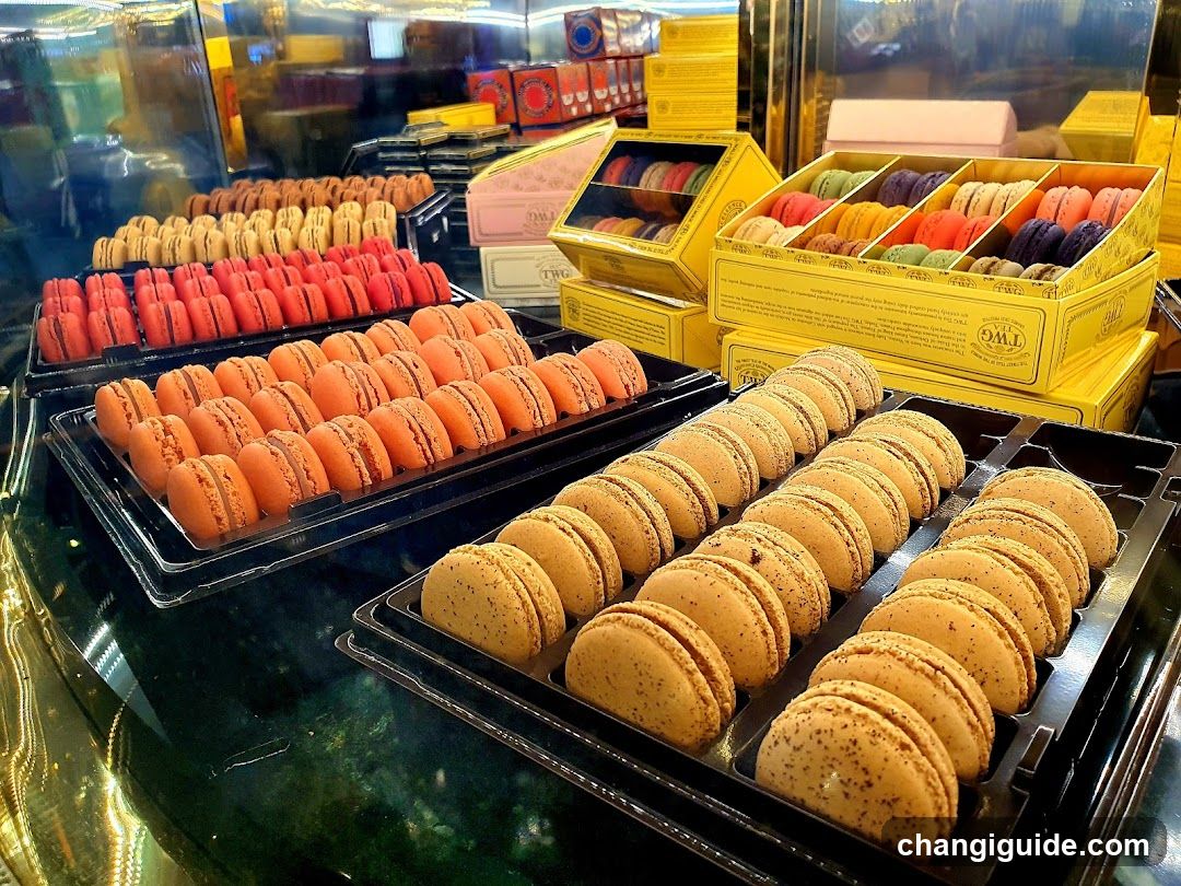 Macaron Display Case