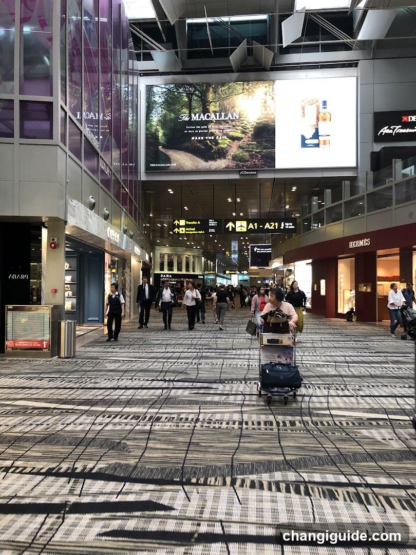 Airport Terminal Interior