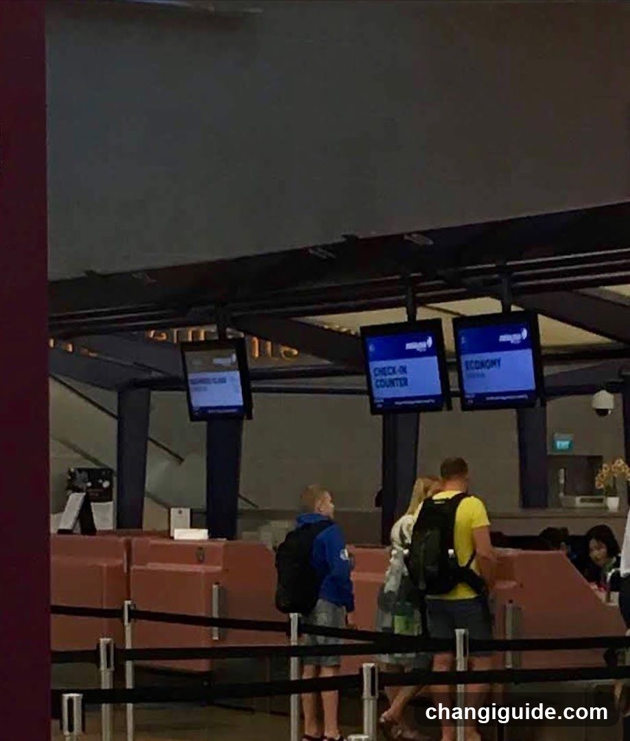 Airport Check-in Area