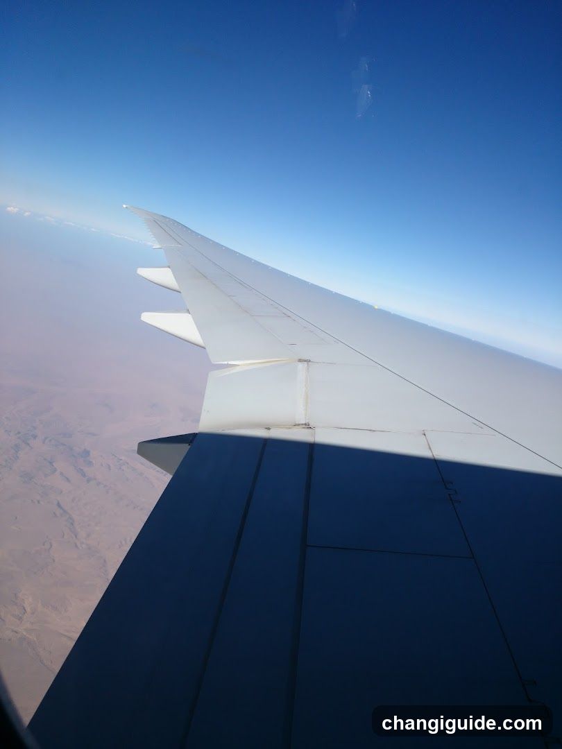 Aircraft Wing View from Window