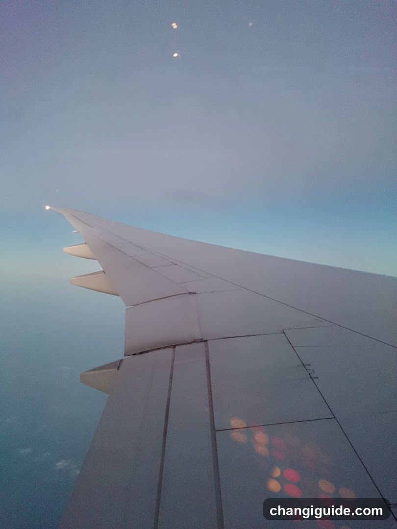 Aircraft wing at dusk