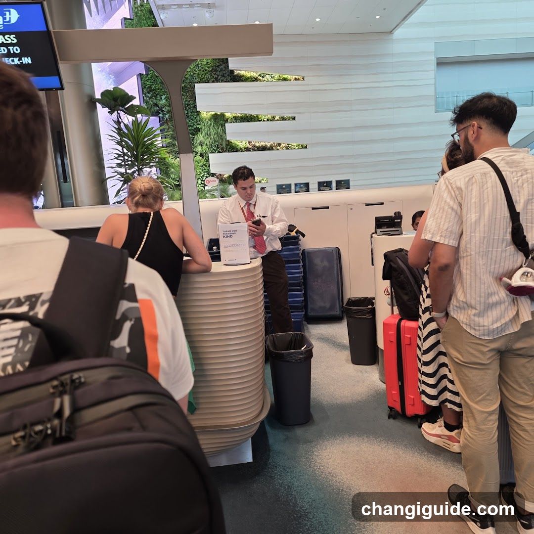 Airport Check-in Area