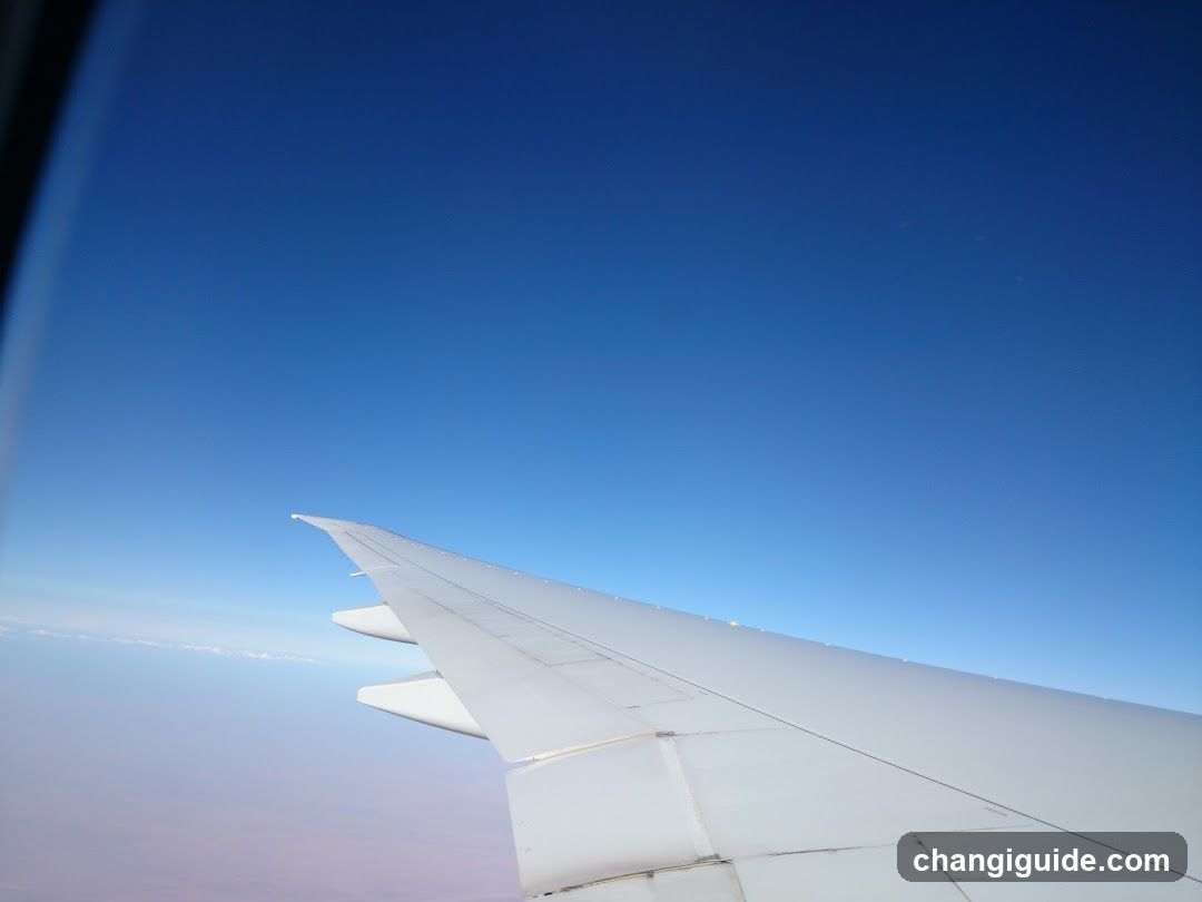 Airplane Wing View