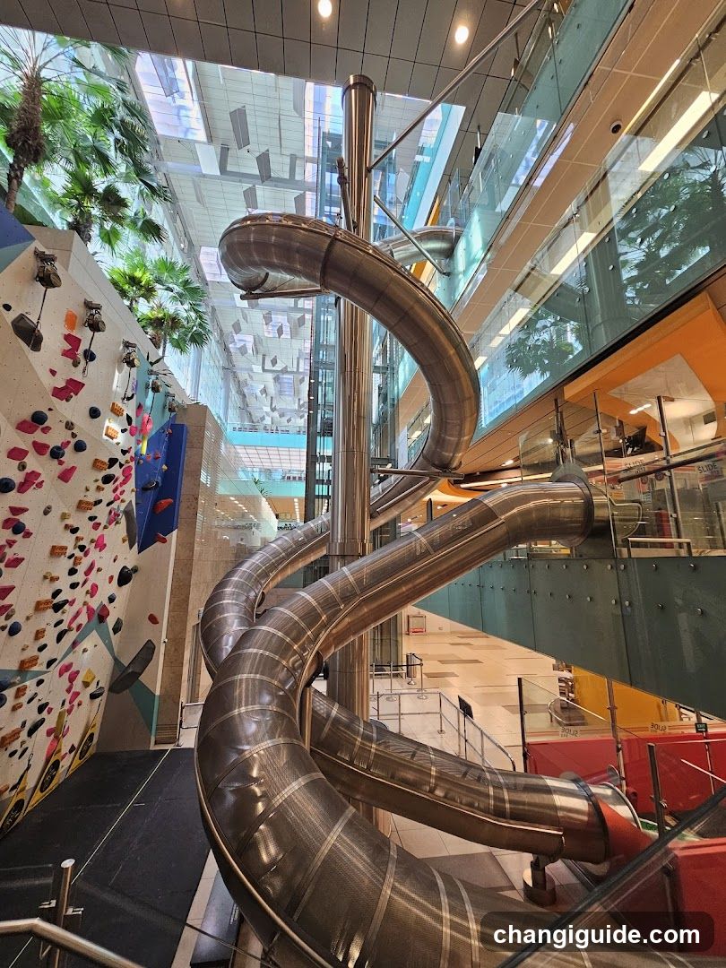 The Slide @T3