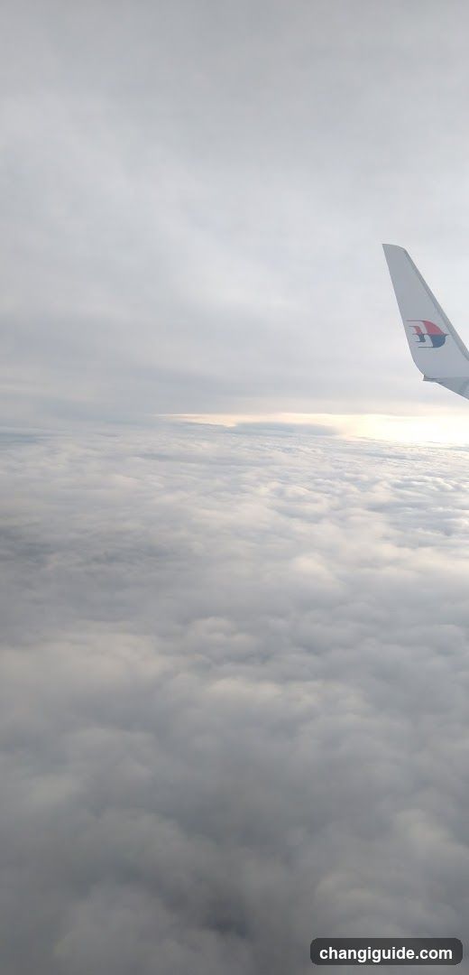 Aerial view from airplane window