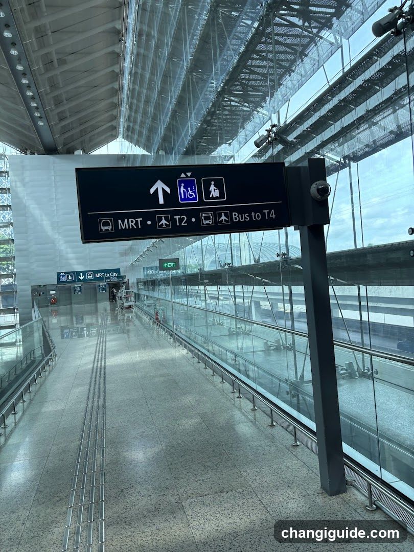 Airport Terminal Interior