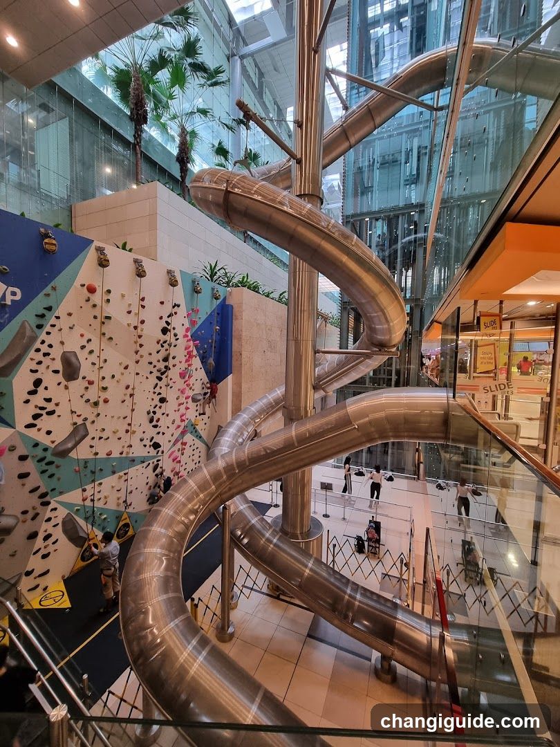 Shopping Center Interior with Slides and Climbing Wall