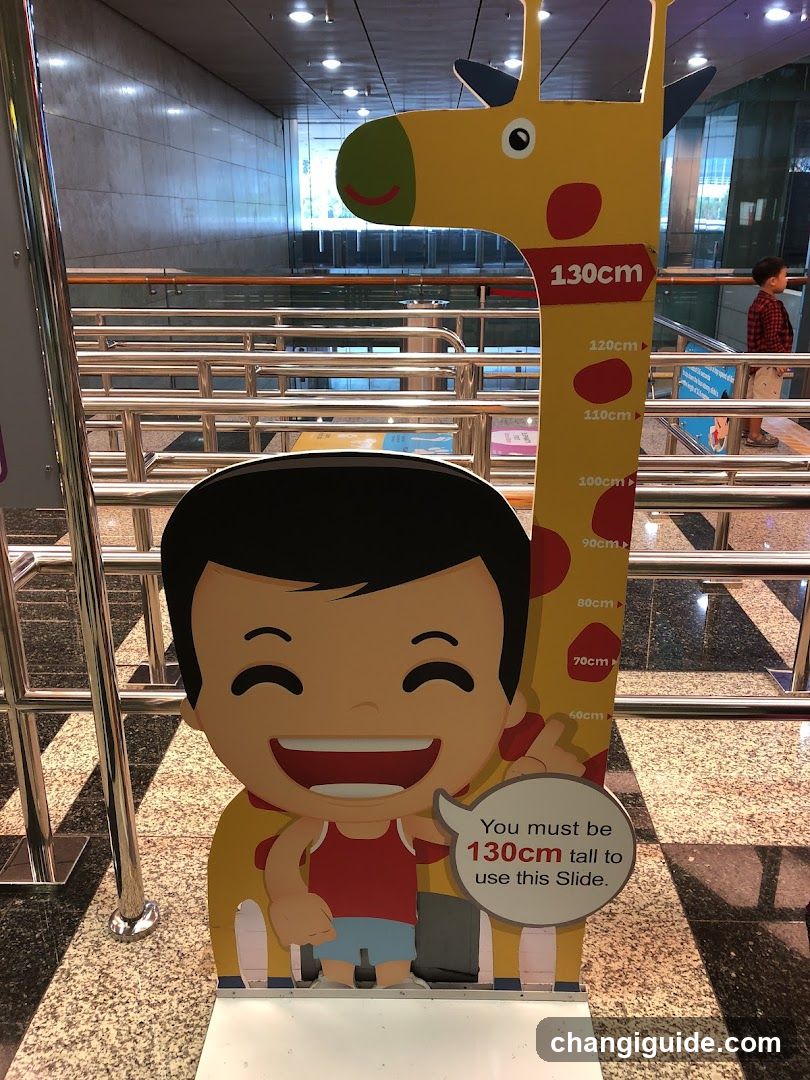 Height Chart Signage